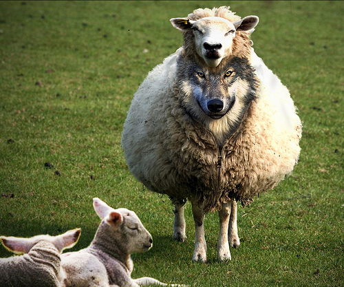 A Wold in Sheep's Clothing